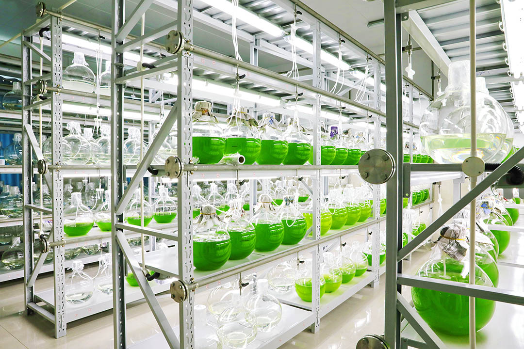 һ��(j��)�U(ku��)�N��